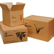 Printed cartons